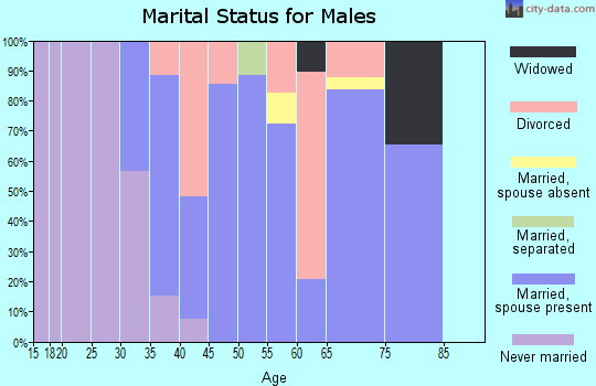 Zip code 03262 marital status for males