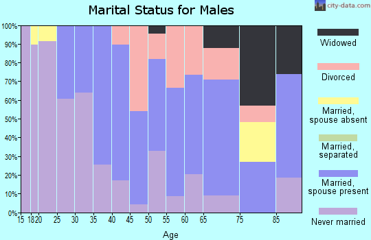 Zip code 03263 marital status for males
