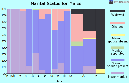Zip code 03264 marital status for males