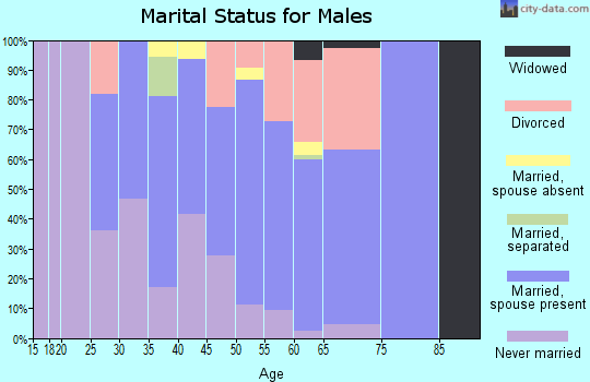 Zip code 03278 marital status for males