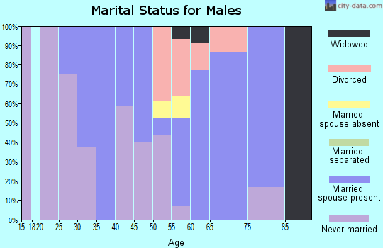 Zip code 03279 marital status for males
