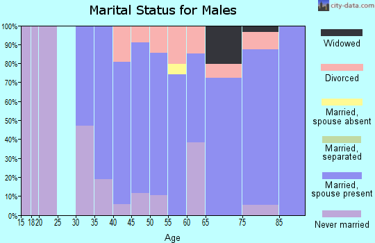 Zip code 03280 marital status for males