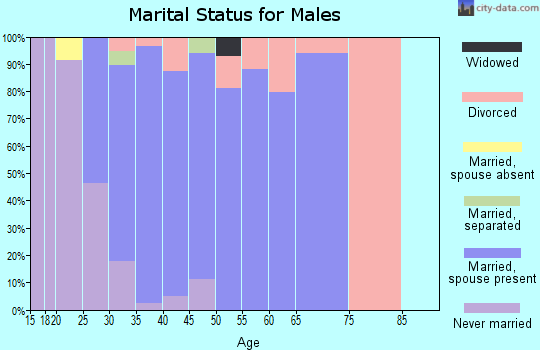 Zip code 03281 marital status for males