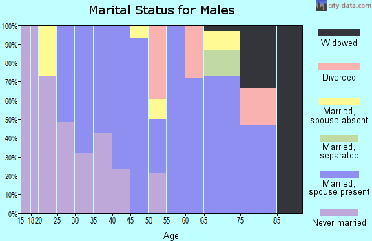 Zip code 03282 marital status for males