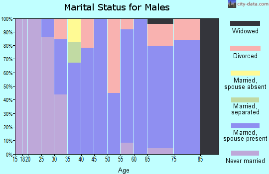 Zip code 03284 marital status for males