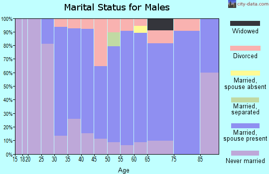 Zip code 03290 marital status for males