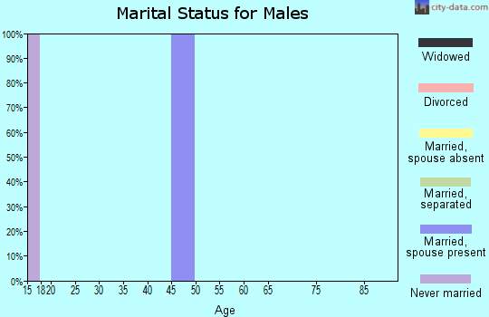 Zip code 03291 marital status for males