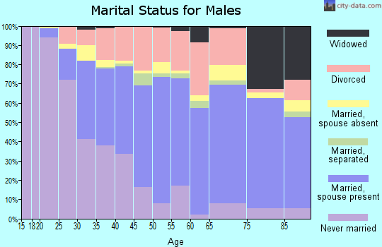 Zip code 03301 marital status for males
