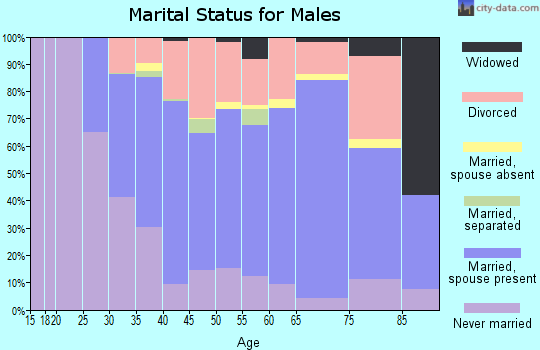 Zip code 03303 marital status for males