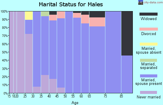 Zip code 03304 marital status for males