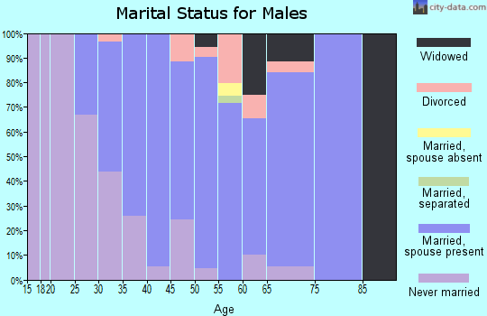 Zip code 03307 marital status for males