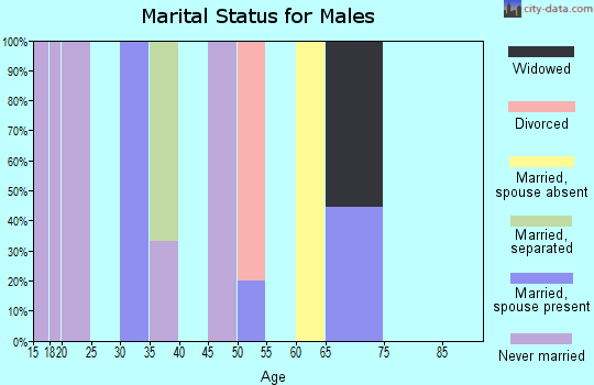 Zip code 03441 marital status for males