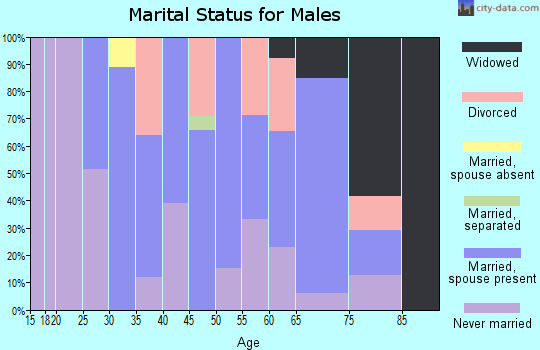 Zip code 03445 marital status for males