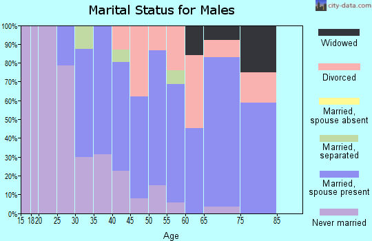 Zip code 03446 marital status for males