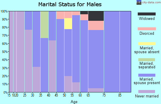 Zip code 03447 marital status for males