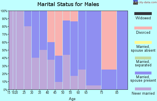 Zip code 03448 marital status for males