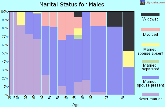 Zip code 03449 marital status for males