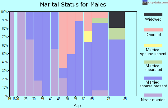 Zip code 03450 marital status for males