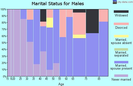 Zip code 03451 marital status for males