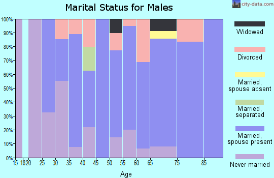 Zip code 03455 marital status for males