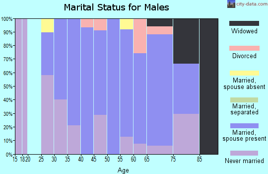 Zip code 03456 marital status for males