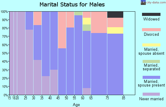 Zip code 03457 marital status for males