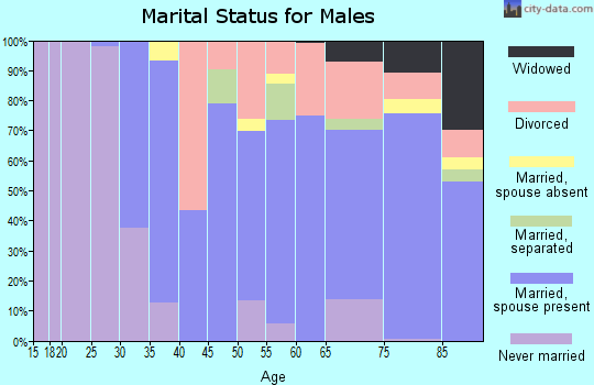 Zip code 03458 marital status for males