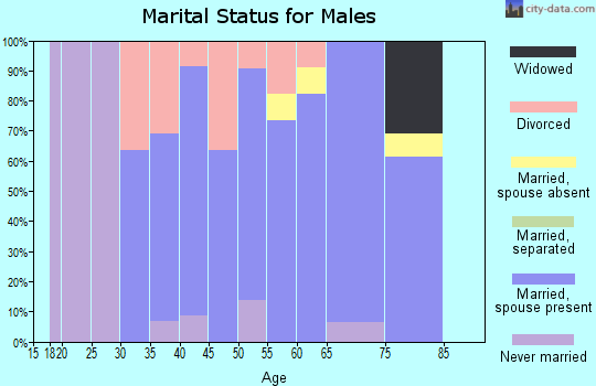 Zip code 03464 marital status for males