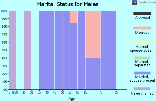 Zip code 03466 marital status for males
