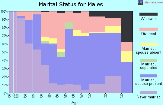 Zip code 03570 marital status for males