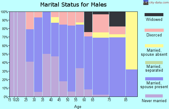 Zip code 03576 marital status for males