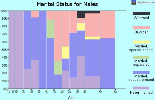 Zip code 03579 marital status for males
