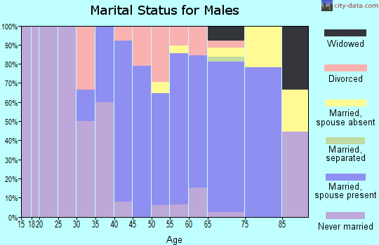 Zip code 03580 marital status for males