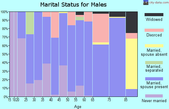 Zip code 03581 marital status for males