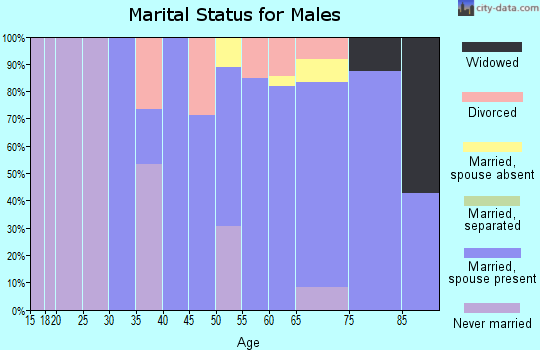 Zip code 03583 marital status for males