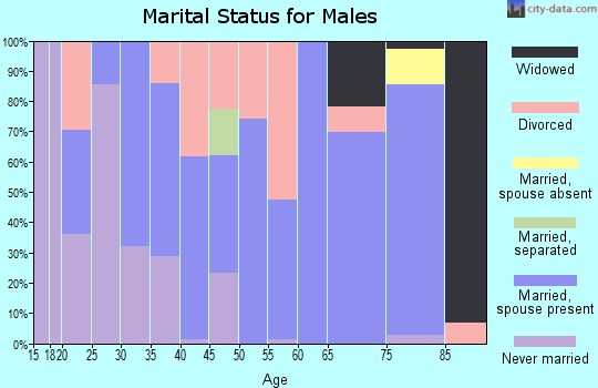 Zip code 03584 marital status for males