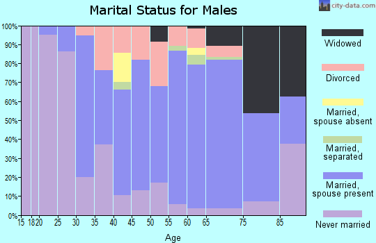 Zip code 03585 marital status for males