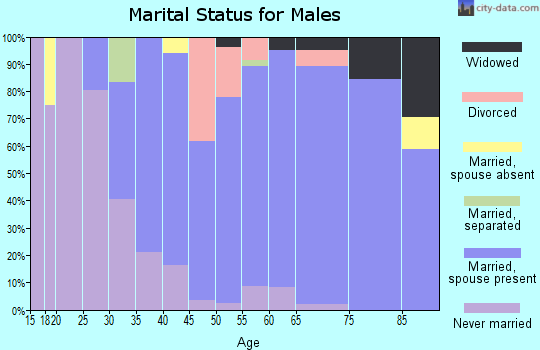 Zip code 03588 marital status for males