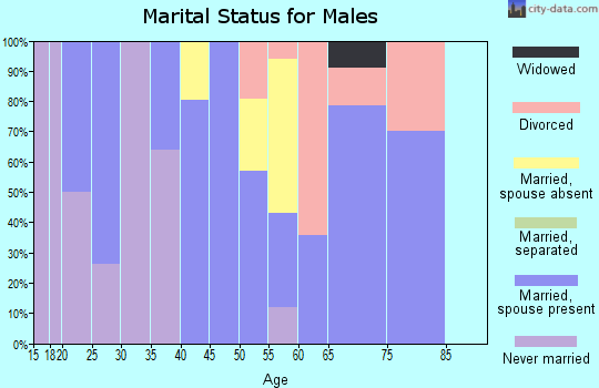 Zip code 03595 marital status for males