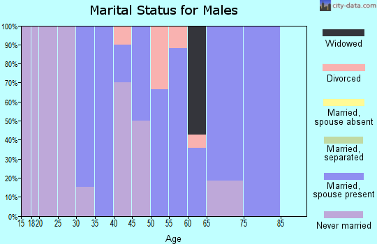 Zip code 03601 marital status for males