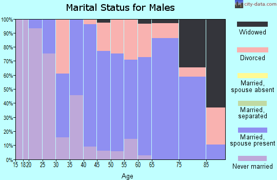 Zip code 03602 marital status for males