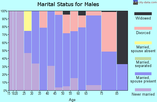 Zip code 03603 marital status for males