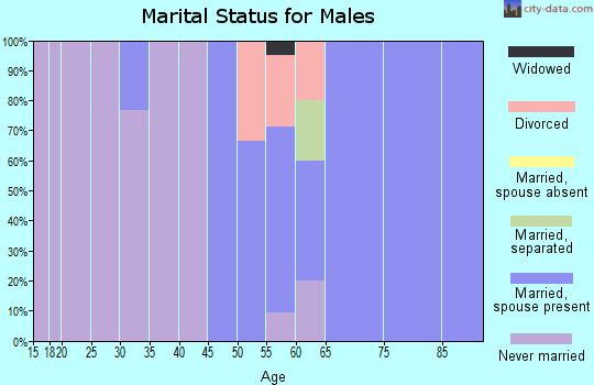Zip code 03607 marital status for males