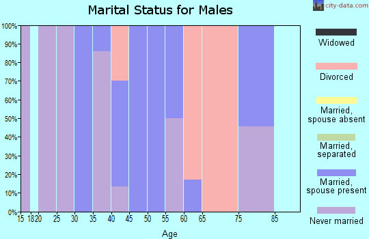 Zip code 03609 marital status for males