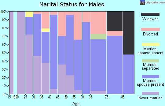 Zip code 03741 marital status for males