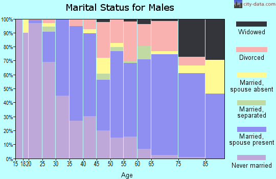 Zip code 03743 marital status for males
