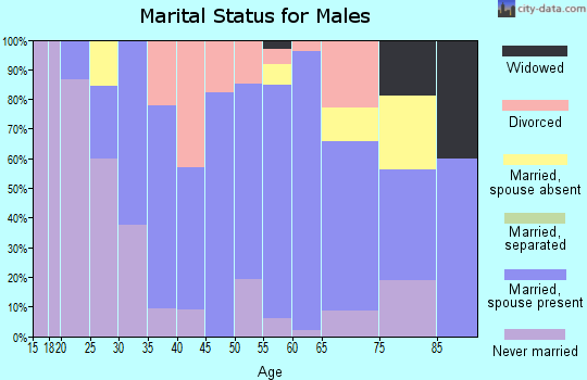 Zip code 03745 marital status for males