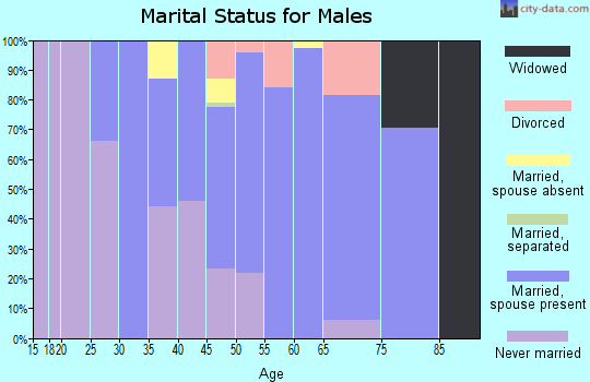 Zip code 03748 marital status for males