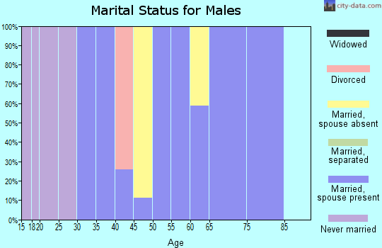 Zip code 03750 marital status for males