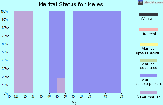 Zip code 03751 marital status for males